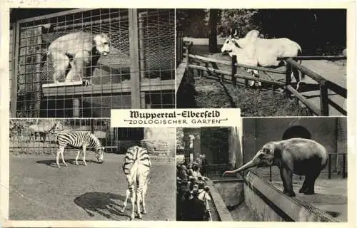 Wuppertal Elberfeld - Zoologischer Garten -729272