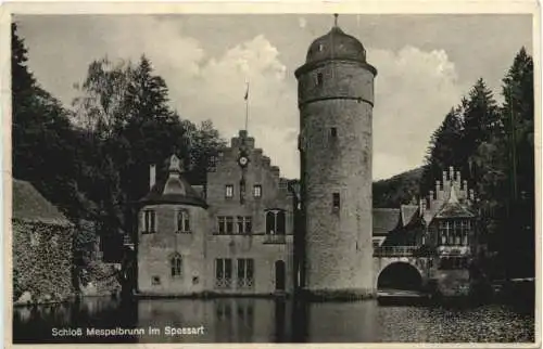 Schloss Mespelbrunn (Spessart) -729178