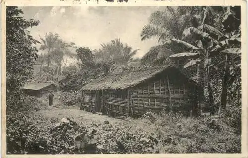 Dorf im Urwald auf dem Kamerunberg - Kolonien -730008