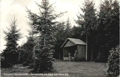 Dorndorf - Westerwald - Schutzhütte am Wald -730062