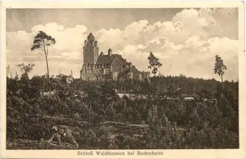 Schloß Waldthausen bei Budenheim -730648