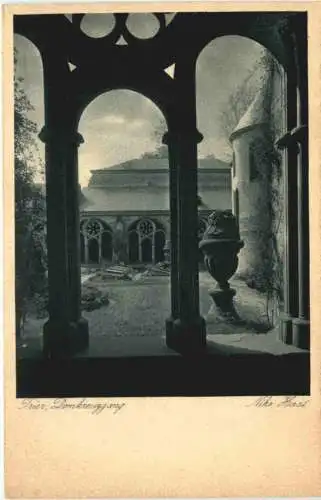 Trier - Domkreuzgang - Niko Haas -731438