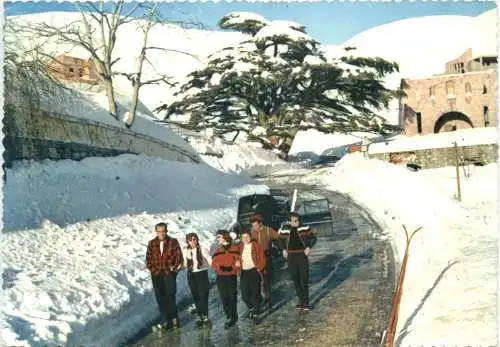 Lebanon - The Cedars -731802