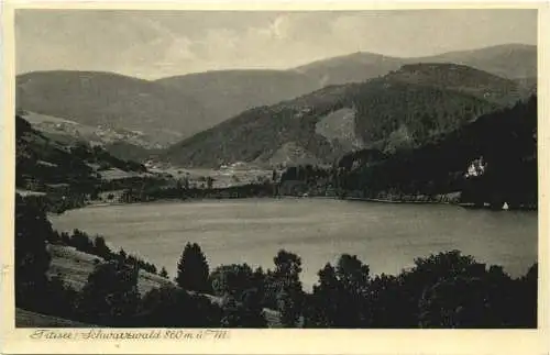 Titisee Schwarzwald -731844