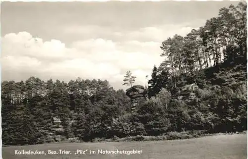 Kollesleuken - Pilz im Naturschutzgebiet -731888