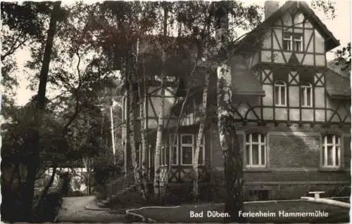 Bad Düben - Ferienheim Hammermühle -731854