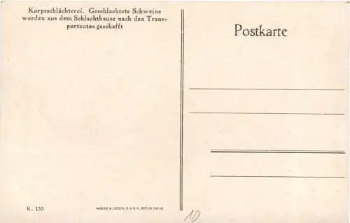 WW1 - Geschlachtete Schweine -732176