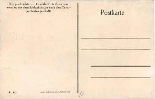 WW1 - Geschlachtete Schweine -732174