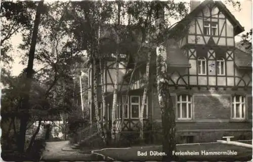 Bad Düben - Ferieheim Hammermühle -732436