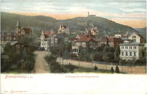 Blankenburg a. H. - Villenpartie mit Ziegenkopf -732592