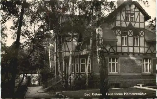 Bad Düben - Ferieheim Hammermühle -732434