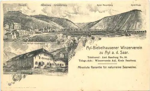 Ayl an der Saar - Ayl-Biebelhausener Winzerverein -732558