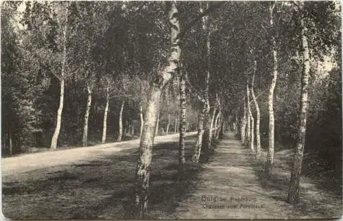 Burg bei Magdeburg - Chaussee zum Forsthaus -732994