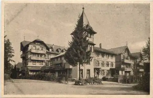 Kurhaus Hundseck - Bühl -733106