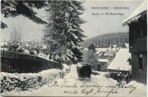 Braunlage - Oberharz - PArtie in Alt-Braunlage -733496