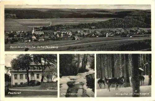 Scharfenberg - Brilon -733802