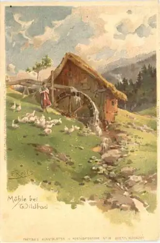 Mühle bei Wildbad - Litho -733886