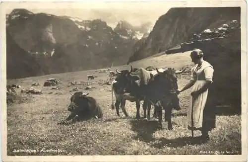 Saletalpe - Amfrieden -733648