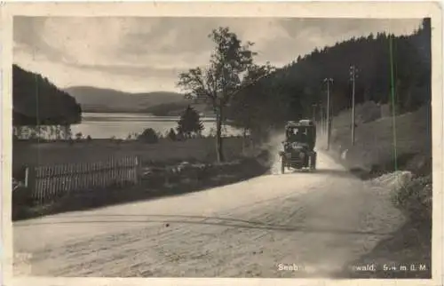 Seebrug im Schwarzwald -734076