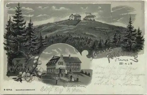 Gruss vom Feldberg im Taunus - Litho -733970