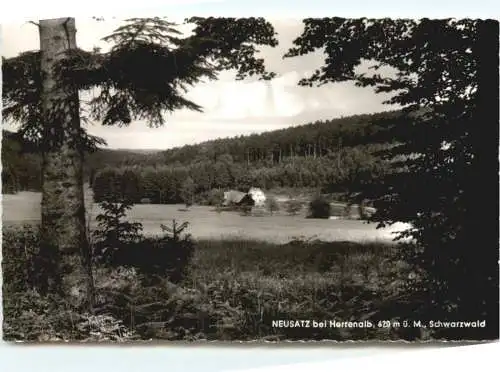 Neusatz bei Herrenalb -734356