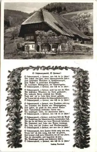 Neusatz bei Herrenalb -734340