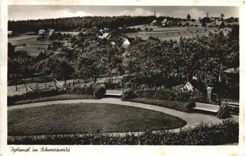 Rotensol im Schwarzwald -734380