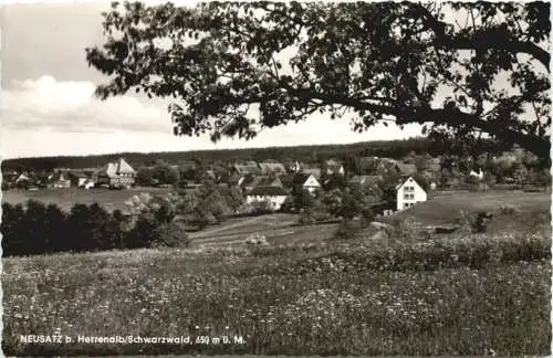 Neusatz bei Herrenalb -734408