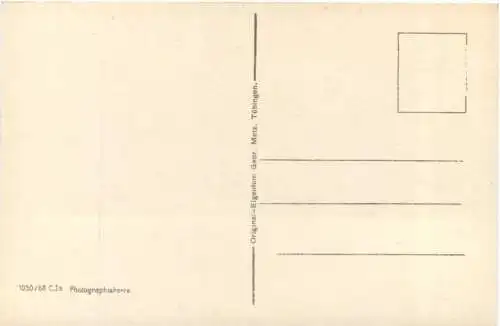 Bad Kissingen - Rosengarten mit Fürstenhof -734448