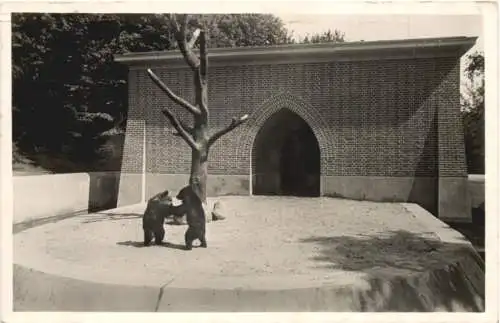 Berlin - Bärenzwinger im Köllnischen Park -735540