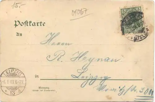 Dresden - Gruss von der Vogelwiese - Feuerwerk - Litho -735634