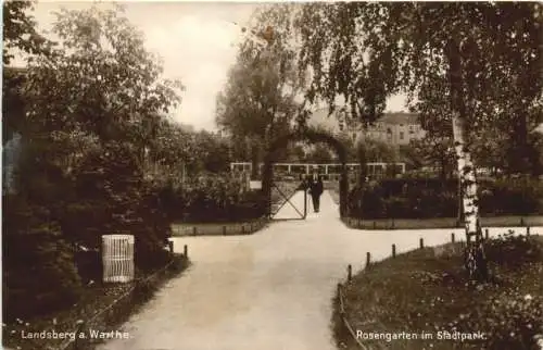 Landsberg an der Warthe - Rosengarten im Stadtpark -732450