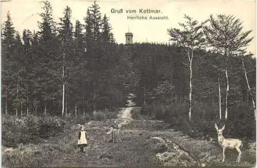 Walddorf in Sachsen - Kottmar -736522