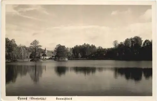 Oppach in Sachsen - Dammühlteich -737114