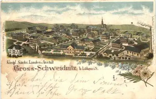 Gross-Schweidnitz - Landes-Anstalt - Litho -738068