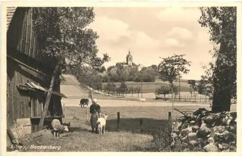 Eibau in Sachsen - Kottmar - Beckenberg -738500