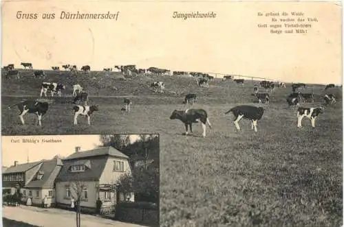 Gruss aus Dürrhennersdorf -738596