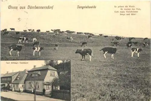 Gruss aus Dürrhennersdorf -738598