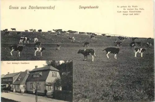 Gruss aus Dürrhennersdorf -738594