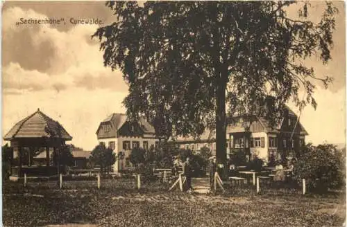 Cunewalde - Sachsenhöhe -738972