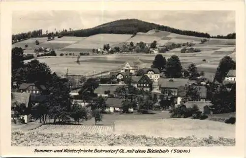 Beiersdorf Oberlausitz -739604