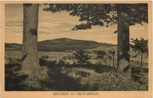 Bieleboh mit Ober Oppach -739780