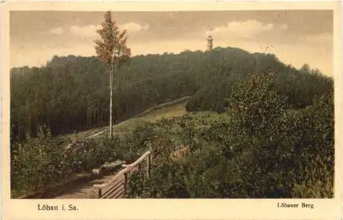 Löbau in Sachsen - Löbauer Berg -739964