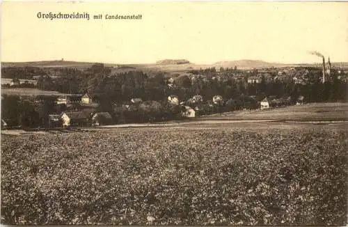 Großschweidnitz - Landesanstalt -740390