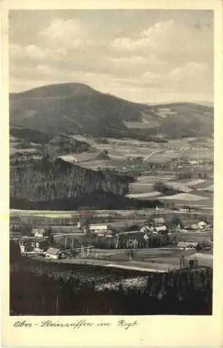 Ober-Steinseiffen im Riesengbirge - Schlesien -741228