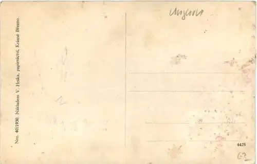 Krasne Brezno nad Labem -741318