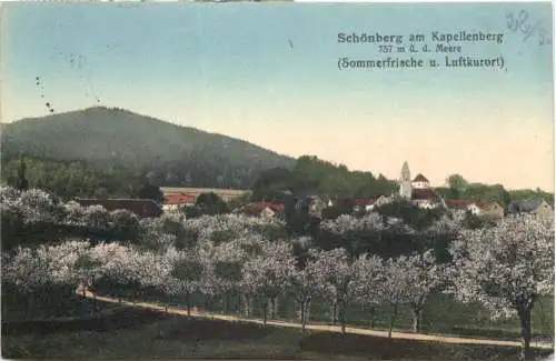 Schönberg am Kapellenberg -741712