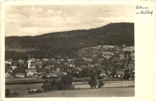 Walddorf in Sachsen -741756