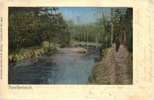 Forellenteich - Bahnpost Eibau -741870