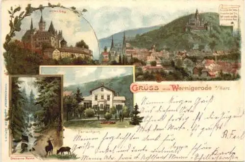 Gruss aus Wernigerode - Litho -742090